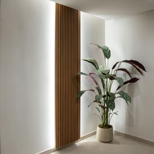 A corner of a room with a plant and natural light.
